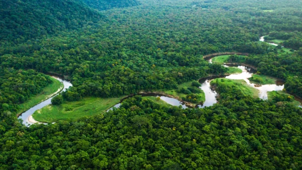 Pacote Amazônia