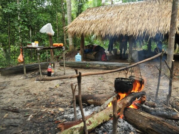 Pacote Amazônia